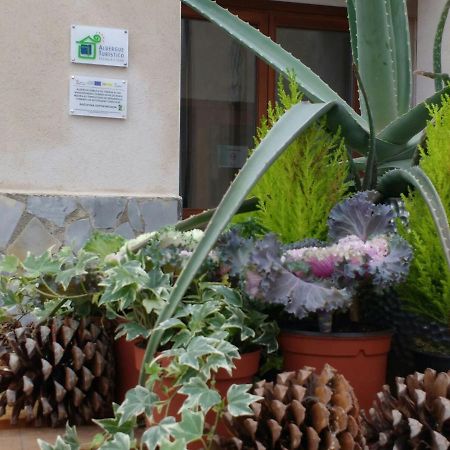 Albergue Turistico Tierras Altas Fuentes de Magana Eksteriør bilde